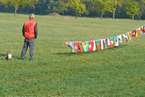2008-drachenfest