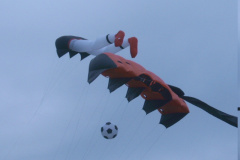 YAKUMO DIGITAL CAMERA