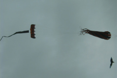 YAKUMO DIGITAL CAMERA