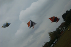 YAKUMO DIGITAL CAMERA