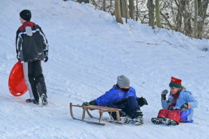 2010-fackelrodeln