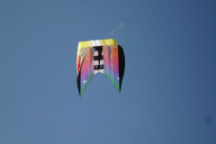 DSCI0042