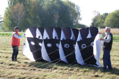 DSCI0060