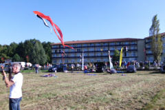 DSCI0104