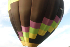 DSCI0055