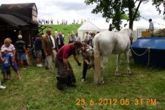 hirsch16