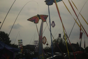 2014 Drachenfest