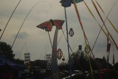 DSCI2011