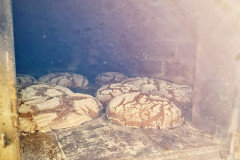 879d037c-879c-4b4e-9d30-51a90e75af60