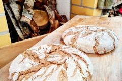 d4e23164-8f8c-4506-92cc-7870b8b29551