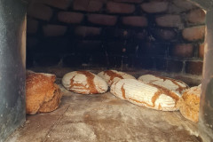 IMG-20210801-WA0003