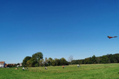 IMG-20211010-WA0007