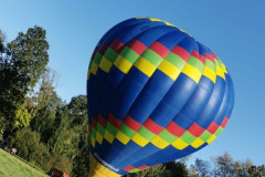 IMG-20211010-WA0064