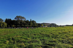 IMG-20211010-WA0065