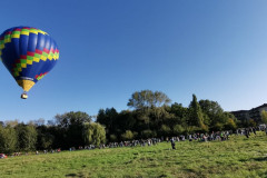 IMG-20211010-WA0096
