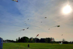 IMG-20220612-WA0022