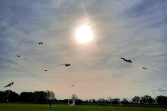 IMG-20220612-WA0023