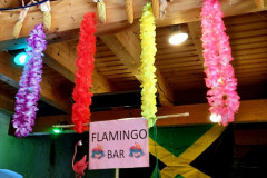 IMG-20220703-WA0004