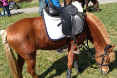 3a6d450b-90dd-43de-bc6c-aef6f955a093