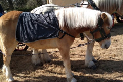 42f5cc05-bc36-4a82-a55b-a5d68637da12