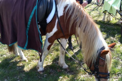 6026ccd5-f3de-4e7d-9a18-328d4574cab0