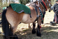 a007bd7d-b671-4f3e-83d5-83fb6680cfe0