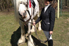 be990ad0-1061-4a0b-a990-aad6c3587844