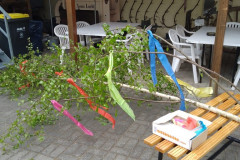 IMG-20230507-WA0024