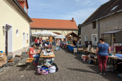 PXL_20240407_112731729