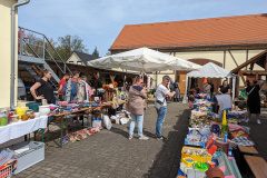 PXL_20240407_112749893