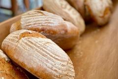 20251026_Brotbackworkshop_HVE34