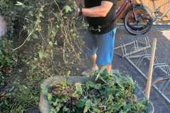 IMG-20260711-WA0007