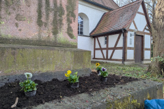 PXL_20260328_092949030.MP_