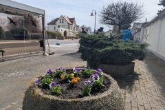 PXL_20260328_102549266.MP_-scaled