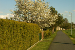 YAKUMO DIGITAL CAMERA