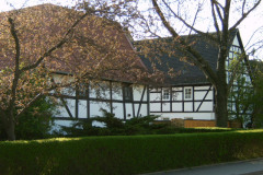YAKUMO DIGITAL CAMERA