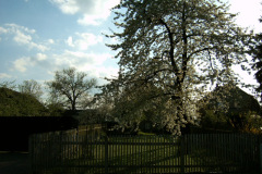YAKUMO DIGITAL CAMERA
