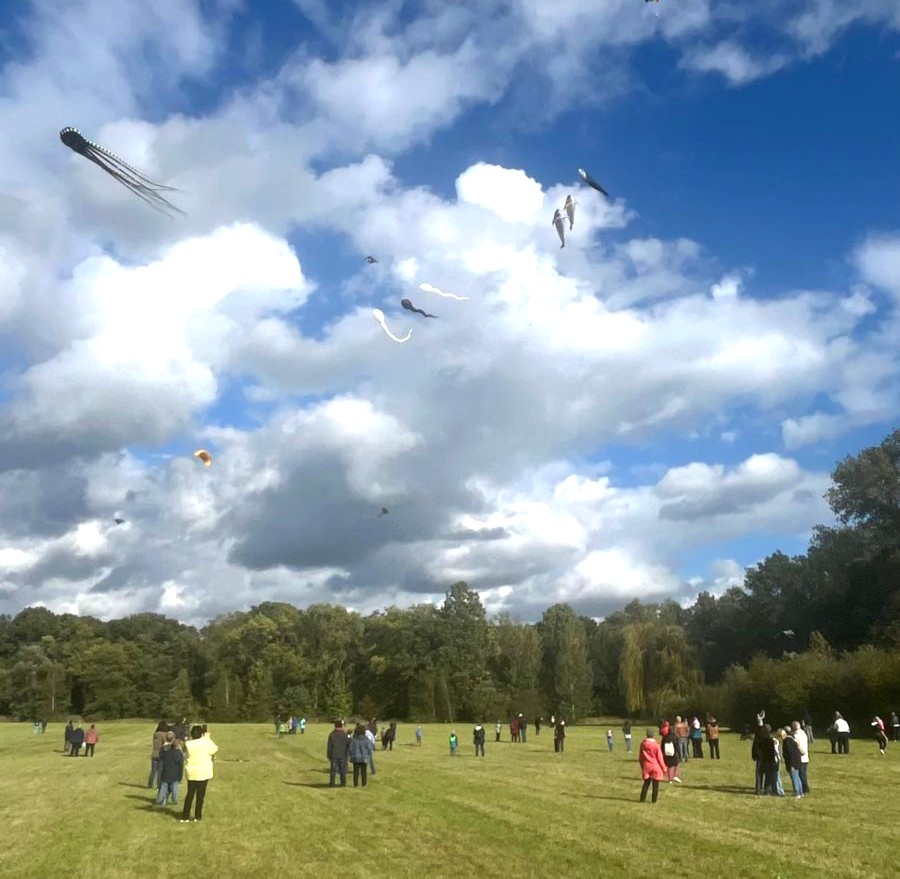 Viele Besucher und bunte Drachen beim One Sky One World Drachenfest 2026 in Erdmannshain